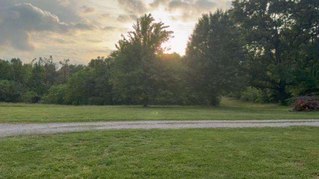 Sun setting behind hardwoods across a mowed lawn